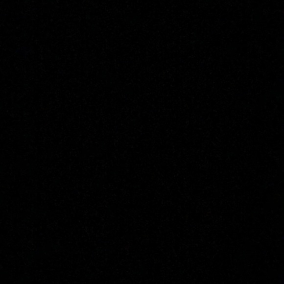 Meet your Posher, Ella - Picture 1 of 1